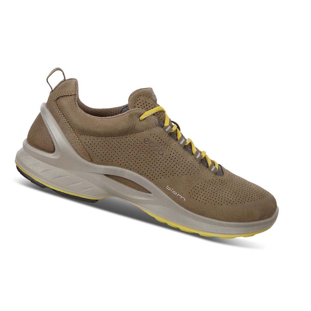 Pánské Hiking & Trail Ecco Mens Biom Fjuel Perf Hnědé | CZ 568JPQ